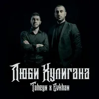 Taheyn — Люби Хулигана Ft Evkhan — обложка